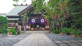 �������� ����