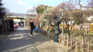 ����ŷ���� ����