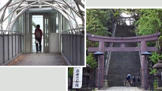 ���������ʡ����滳����١�����