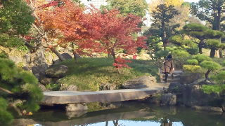 �������� ����