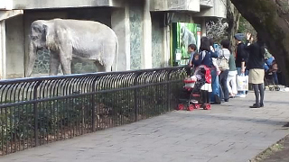 井の頭自然文化園動物園 園内