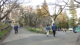 井の頭恩賜公園 園路