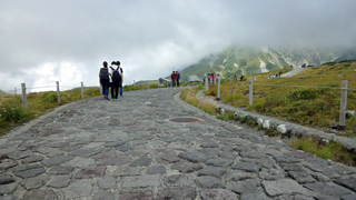 ��Ʋ����ƻ