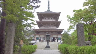 ������ ����������