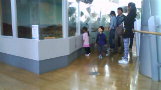 �����Ԥդ줢���ʳشۥ��ڡ����ѡ��� Ÿ��