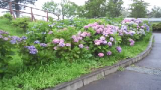 ���來�ԥե����󥿡� ��ϩ