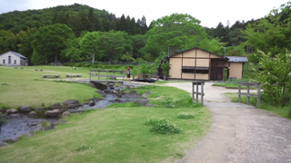 ��ϴؤο�����