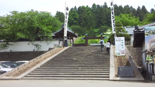 ������Ȳ��� �����