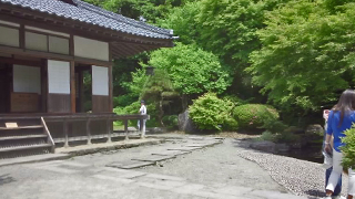 ������Ȳ��� ��ϩ