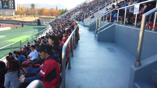 ���Ĥ��Ť�Φ�嶥���� �ϡ��ե饤���ն�ְػ���