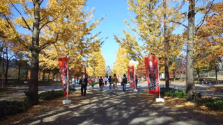 ���Ť����籿ư���� �����ϩ