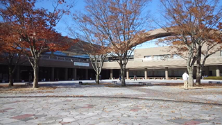 ���Ĥ��Ť������ΰ�� ����