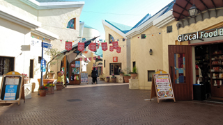 �ߥ塼���������졼��