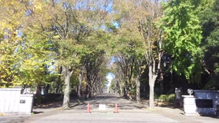 ���ո�Ω���դο����� ������󥳡���