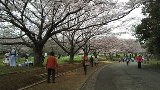 ���ո�Ω���դο����� �����黳