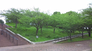 ���ո�Ω���դο����� �����黳