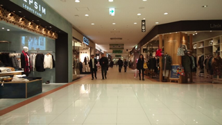 ή�����������ο�S��C 2FŹ��