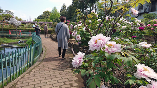 ���ݰ�ٿ��� ��ð��