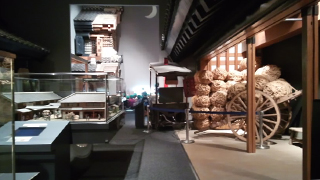 ��ۻ�Ω��ʪ�� Ÿ����