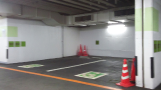 ���󥷥ƥ��ϲ���־�