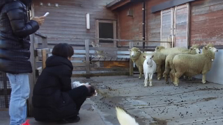 アロハガーデンたてやま アロハZOO