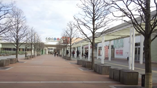 �������󥷥ƥ� �ǥå���ϩ