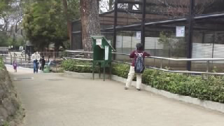 ��ܸ��� ��ưʪ��