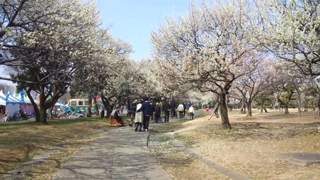 ���������� ����