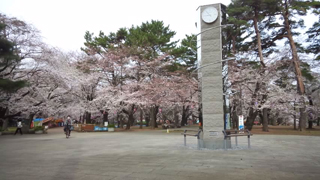 ��ܸ��� ��ͳ����