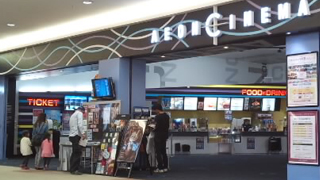 �����󥷥ͥ�ĸ�� 