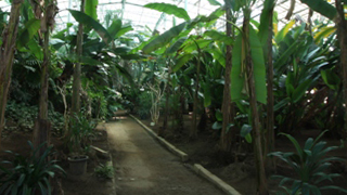 ���ͥե��ѡ��� Ǯ�ӥɡ���