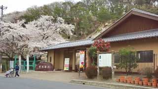 �ȸ�ɴ�� ����