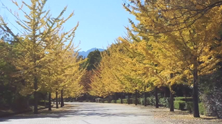 ������������ ��ɤι���