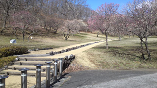 ����ߥ塼���ѡ��� �߱�