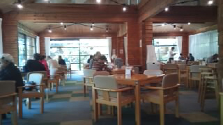 ���Υ��ե��������˥�