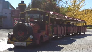 �������ȥ쥤��