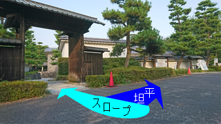Ǧ�����