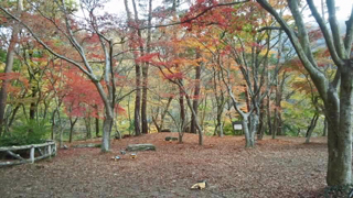 月の石もみじ公園