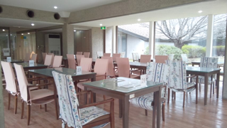 ���ե��쥹�ȥ��Shirayuri