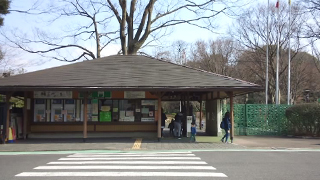 ������꡼�󥻥󥿡� ����