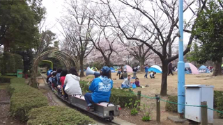 ������꡼�󥻥󥿡� �����鹭��