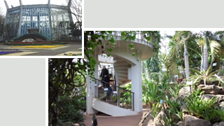 ������꡼�󥻥󥿡� �粹��