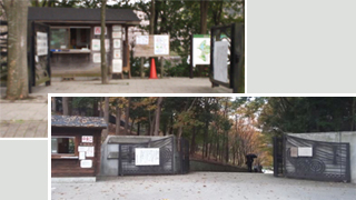 21世紀の森と広場 入園口