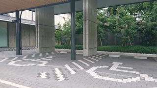 ���пͷ���ʪ�� ��־�