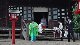 �ɵܿ��� ������