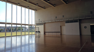 ������Ω�ԥ��饷�ƥ���ή���󥿡�