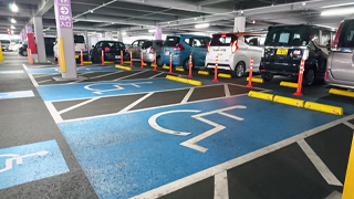 ������⡼��´� ��־�