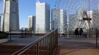 ²£Éͥ¥ë¥É¥Ý¡¼¥¿¡¼¥º ¥ë¡¼¥Õ¥¬¡¼¥Ç¥ó