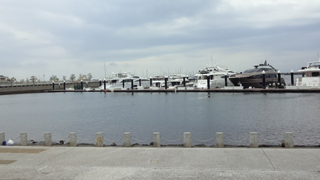 ���ͥ٥������ɥޥ꡼��