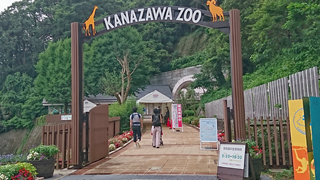 ���ͻ�Ω����ưʪ�� ����